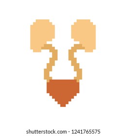 Kidney pixel art. Human internal organs 8 bit. Pixelate anatomy 16bit. Old game computer graphics style
