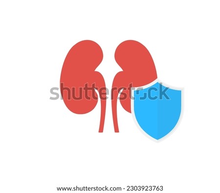 Kidney protection concept logo design. Human kidney protect concept vector design and illustration.