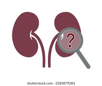 Kidney with question mark isolated on white. Kidney, magnifying glass, red question mark on it. Causes of kidney diseases. Research and diagnosis of kidney disease.
