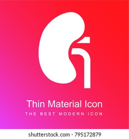 Kidney red and pink gradient material white icon minimal design