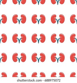 Kidney seamless pattern in cartoon style isolated on white background vector illustration