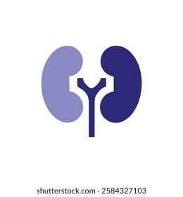 Kidney with Shield Flat Representing Protection and Health