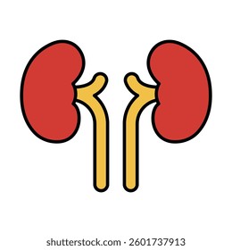 kidney sign symbol vector flat icon