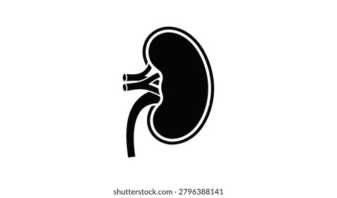 Kidney Silhouette On White Background Medical Illustration