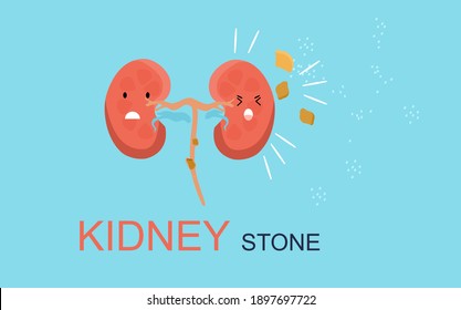 Kidney Stone concept. Cute kawaii human organ is attacked by sodium salt.Nephrology.Pyelonephritis and renal failure disease.Cystitis chronic illness.Problem with filtration,dialysis.Vector.Drink more