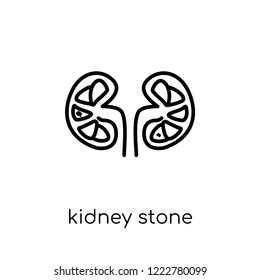 Kidney stone disease icon. Trendy modern flat linear vector Kidney stone disease icon on white background from thin line Diseases collection, editable outline stroke vector illustration