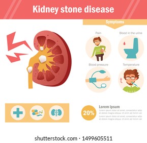 Kidney Stone Disease Vector Cartoon Isolated Stock Vector (Royalty Free ...