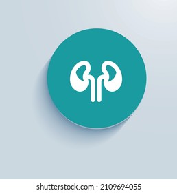 Kidney Stone Icon Vector Design