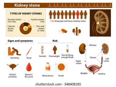 Kidney Stone Diet Chart In Hindi