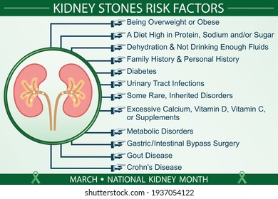 Kidney Stones Disease Risk Factors Infographic Vector Illustration. Diagnosis, Prevention, Symptoms, And Treatment Concept. Flat Style Medical Template. Hand-drawn Awareness Month, And Health Design. 