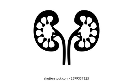 Kidney structure, black isolated  silhouette