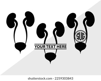 Silhouette de Ilustración del Vector Monograma SVG de Riñón