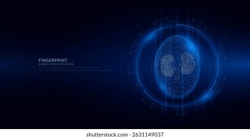 Kidney symbol in fingerprint glowing on binary code background. Biometrics identification and approval. Medical digital technology. Security system data protection. Banner vector EPS10.