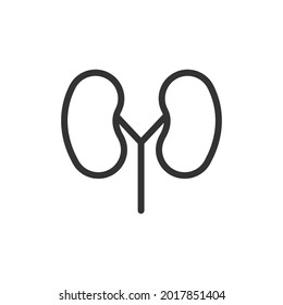 Icono de línea delgada del riñón. Símbolo con estilo de contorno de moda. Diseño premium para web y aplicaciones. Perfecto para la interfaz de usuario. 
