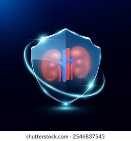 Riñón en el escudo de cristal translúcido moderno. Rodeado de guardián de seguridad de anillo brillante. Órgano de anatomía humana sobre fondo azul. Concepto de inmunidad y protección de la atención médica. Vector EPS10.