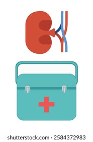 Kidney transplant carrying case. Human kidney transplantation case for organ transplantation. Kidney and vessels anatomy organ. Donor medicine patient help donation vector illustration.