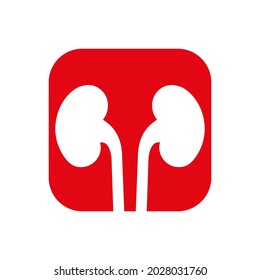 kidney, urinary logo, kidneys in red background