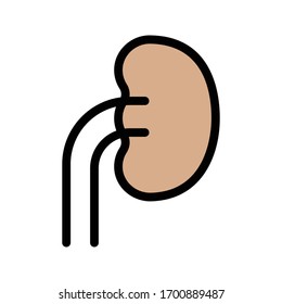 kidney vector flat color icon 