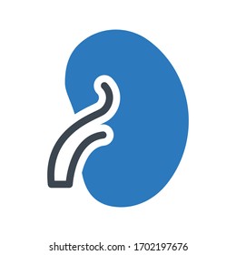 icono de color de glifo vector renal 