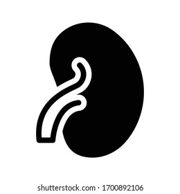 icono plano de glifo vector renal 