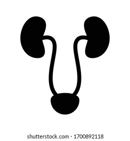 kidney vector glyph flat icon 
