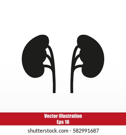 Kidney vector icon