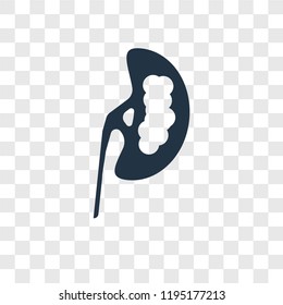Kidney vector icon isolated on transparent background, Kidney transparency logo concept