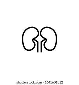 Kidney vector icon in linear, outline style isolated on white background