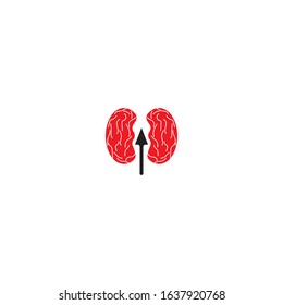 kidney vector illusrtation design logo template