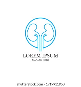 kidney vector illusrtation design logo template