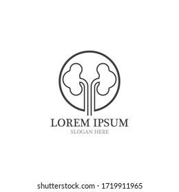 kidney vector illusrtation design logo template