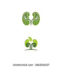 plantilla de logotipo de diseño de iluminación de vectores de riñón