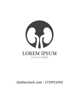 kidney vector illustration design logo template