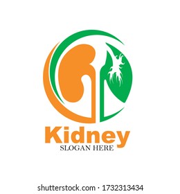 kidney vector illustration design logo template,
