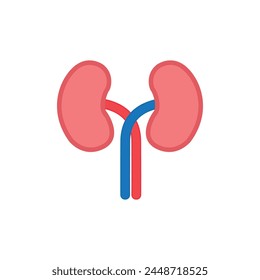 Kidney Vector Illustration. Human kidneys anatomy on white background. Human internal organ icon. Concept of urinary system endocrine system. Vector illustration.