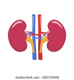 Kidney Vector Illustration Symbol Nierenpflege