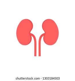 Kidney Vector Illustration isolated on white background