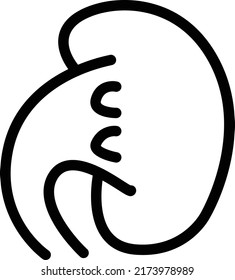 Niere, Vektorgrafik auf transparentem Hintergrund.Symbole in Premium-Qualität.DünnzeilenVektorgrafik   Icon für Konzept und Grafikdesign.