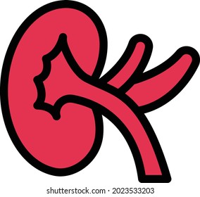 kidney vector line colour icon