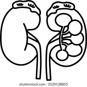 kidney Vector Line Icon Design