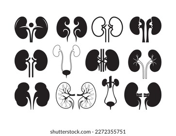 Vector De Riñón Para Impresión, Clipart Riñón, Vector De Riñón Ilustración