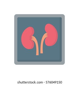 kidney x-ray flat icon