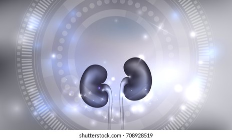 Kidneys 3d illustration abstract blue scientific background