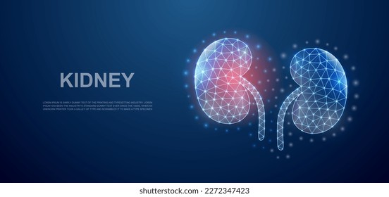 Kidneys 3d low poly symbol with pain center for landing page template. Kidneys pain, urinary design illustration concept. Polygonal organ illustration