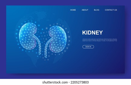 Kidneys 3d low poly website template. Urinary design illustration concept. Polygonal Internal organ symbol for landing page, advertising page.
