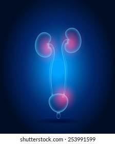 Kidneys abstract design. Bright blue background and red lights.