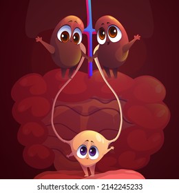 Kidneys and bladder funny cartoon characters. Anatomical positive personages, internal human body organs with cute smiling faces holding hands. Medical education for kids, anatomy, Vector illustration