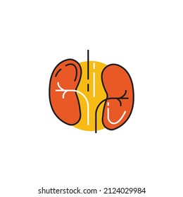 Kidneys clipart free vector file