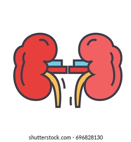 Kidneys concept. Line vector icon. Editable stroke. Flat linear illustration isolated on white background