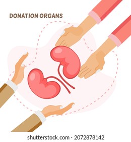 kidneys donation, organ donation concept, 2 hands give kidneys, 
